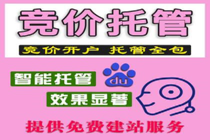 百度优化推广案例：提升网站转化率策略